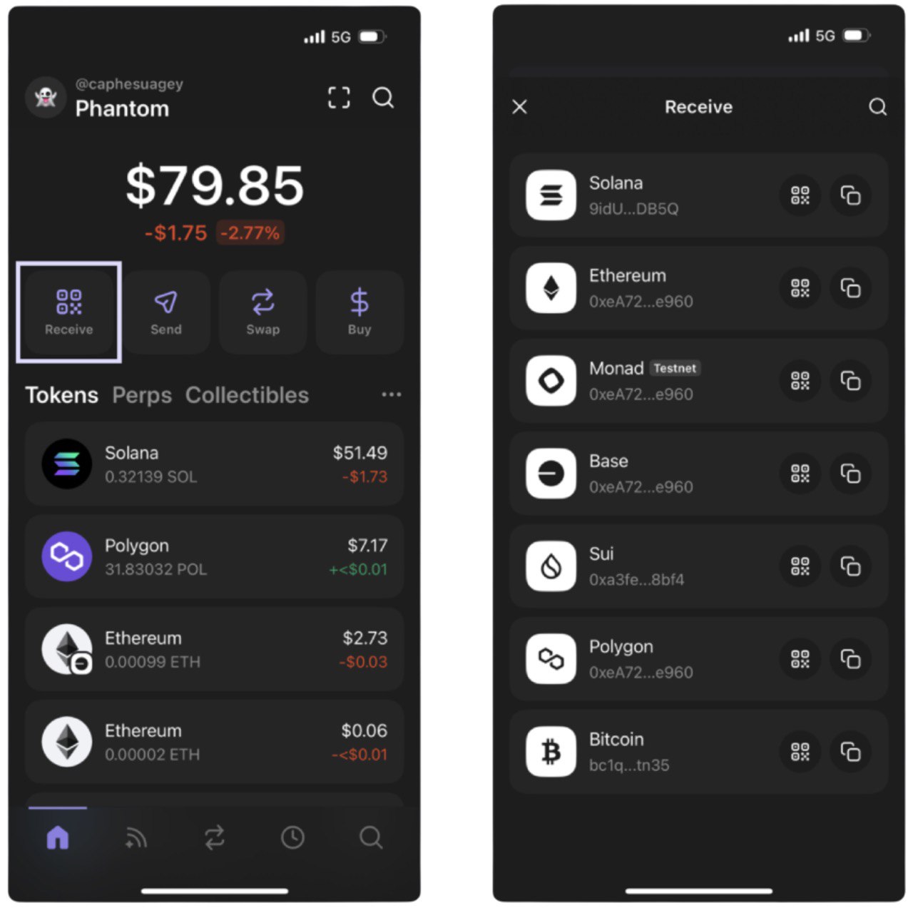 Wallet Address Example